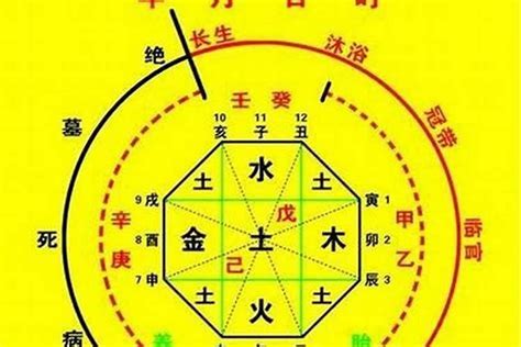 五行忌木|八字算命：八字忌木是什么意思